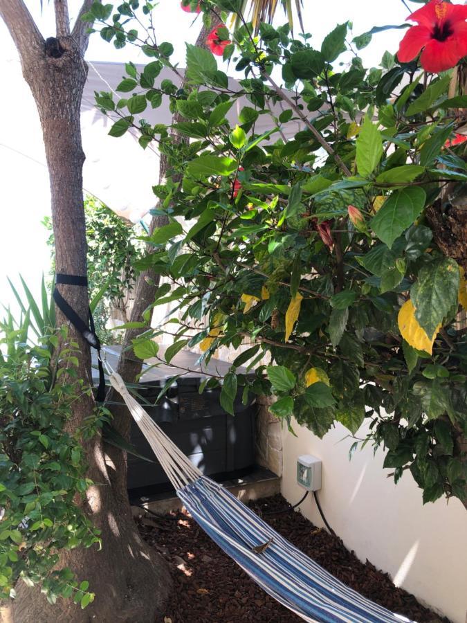 Luisa Anabela, 6/8 Pers, Piscine Et Jacuzzi . Villa